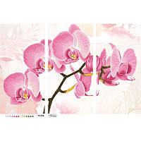 Набор для вышивания бисером Барвиста Вышиванка Нежная розовая орхидея (триптих) 86х58 ТК099пн8658k