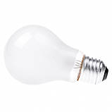 Лампа розжарювання Brille Скло 25W Білий 126098 SC, код: 7263993, фото 2