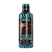 L-Carnitine Ignite 3000 (500 ml, blue raspberry)