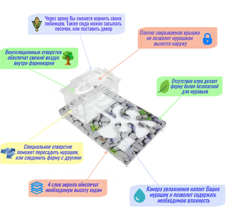 Мини Муравьиная Ферма с ареною VinniAnts «Сад Камней» + Колония муравьев + 2 вида корма - фото 6 - id-p2001788232