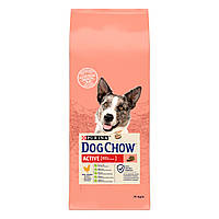 Сухой корм DOG CHOW Active Adult 1+ для взрослых собак с повышенной активностью, курица 14 кг (7613034487933)