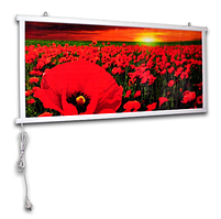 Сушка для рушників електрична/Настінний плівковий інфрачервоний обігрівач "Картина. Маки", 200 Вт.