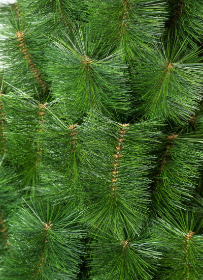 Новогодняя искусственная елка 2.2 метра Микс, классическая сосна искусственная натуральная зеленая 220 см - фото 10 - id-p1998858774