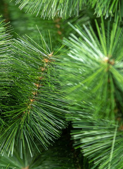Новогодняя искусственная елка 2.5 м Распушенная, классическая сосна искусственная натуральная зеленая 250 см - фото 3 - id-p1999007339