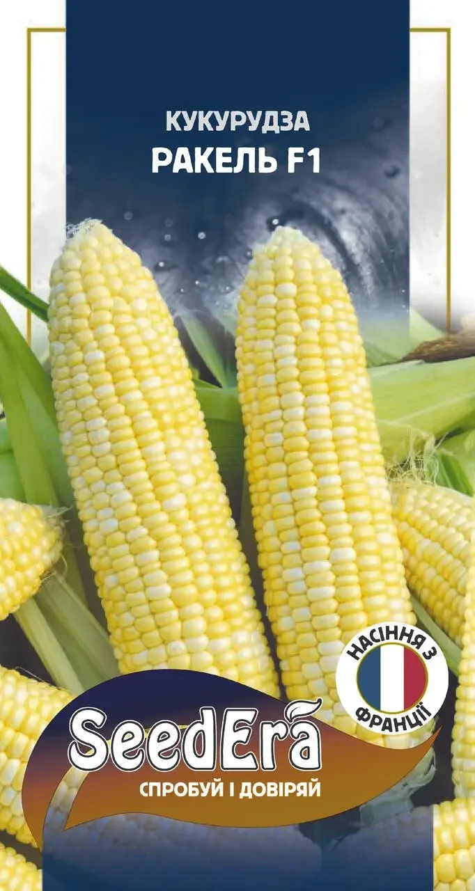 Семена кукурузы РАКЕЛЬ F1, 20 шт суперсладкая SeedEra - фото 1 - id-p2001944813