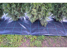 Агротканина Agrojutex 1.65*100 м 100 г/м2 Чорна, фото 2