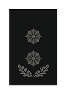 Шеврон погон Подполковник полиции погон подполковника полиции черный на липучке Погоны на заказ (AN-12-300-32)