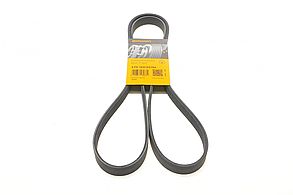 Ремінь генератора Renault Laguna III 1.6 16V 07-15/Logan 1.6 04-/Dacia Dokker/Duster/Lodgy 1.6 12- (6PK1822) CONTINENTAL