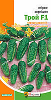 Огірок-корнішон Трой F1 0.5 г (насіння огірків)