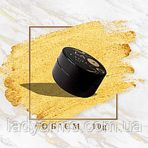 LAгель АйС No009 (010 грамів), фото 4