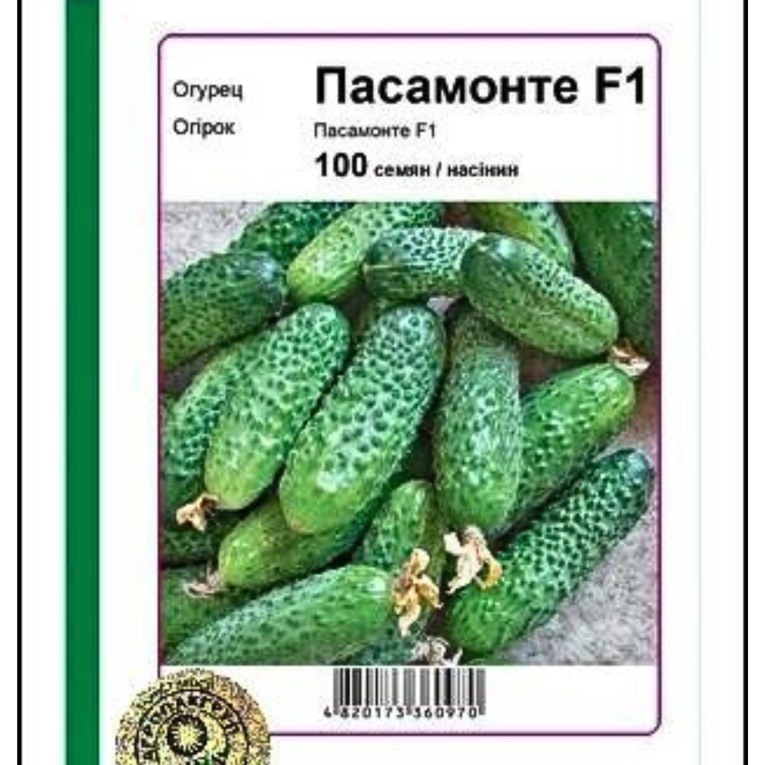 Огірок Пасамонте F1 100 насінин Syngenta