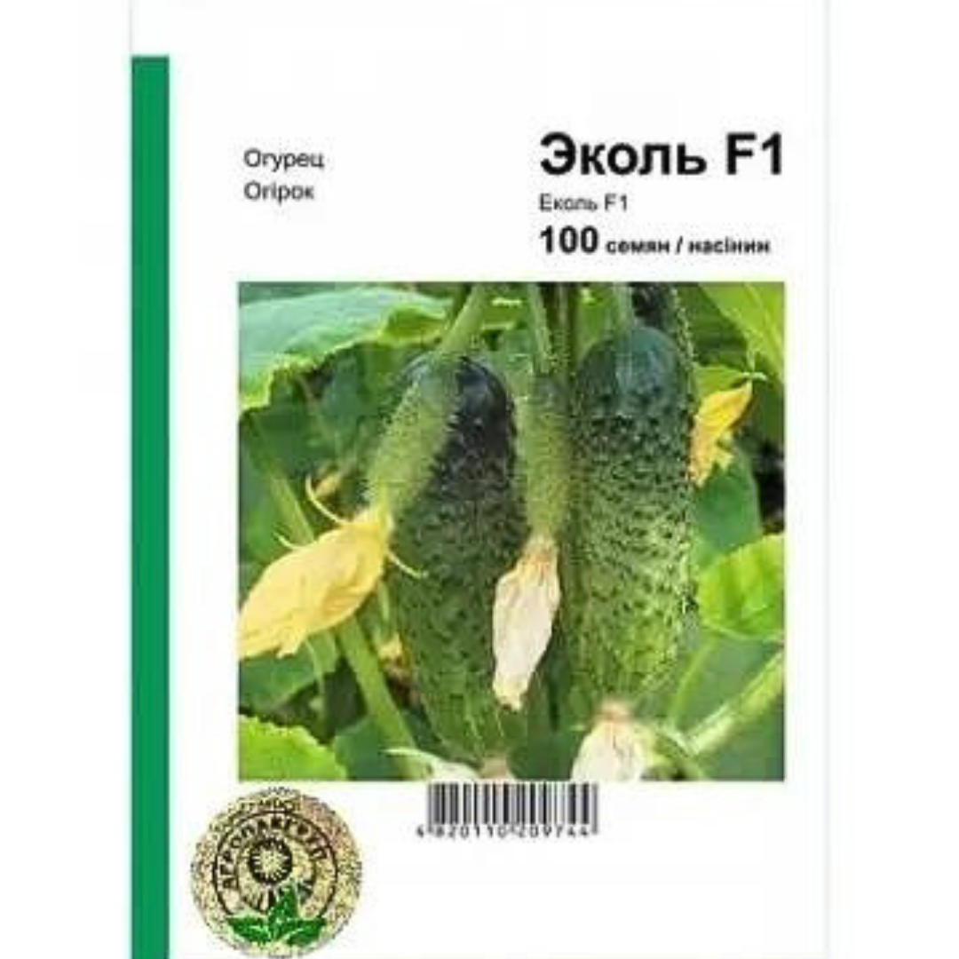 Огірок Огірок Еколь F1 100 насінин Syngenta, фото 1