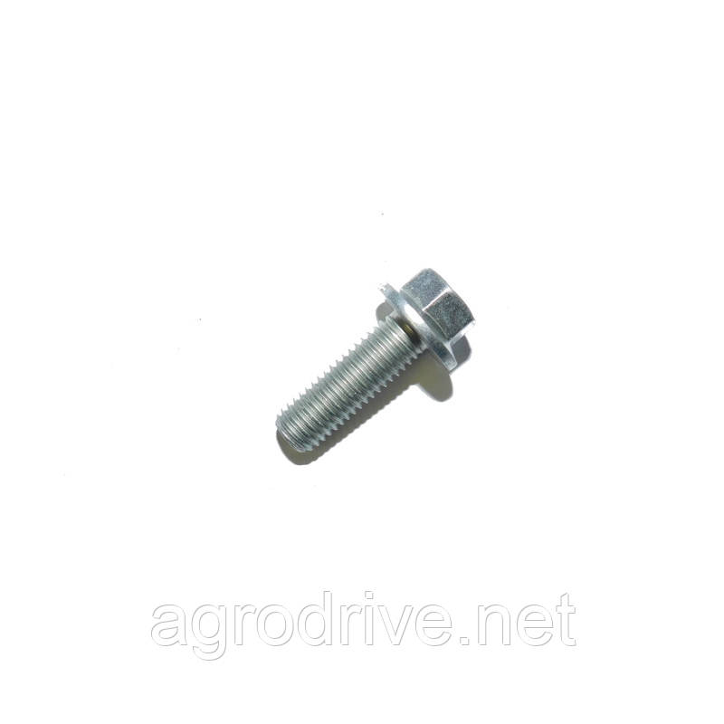 Болт M10X30 10.9 T183972 W500434S437