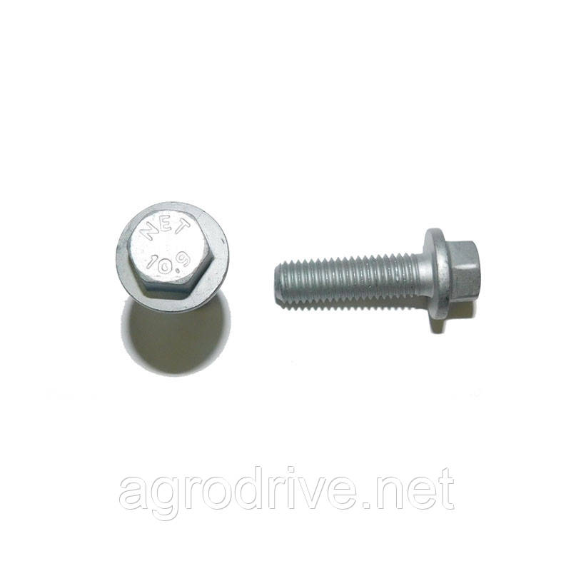 Болт фланцевий G10.9 T185052 AC466W032AA