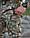 Штани зимові тактичні Корд на флісі із наколінниками Хижак, фото 5