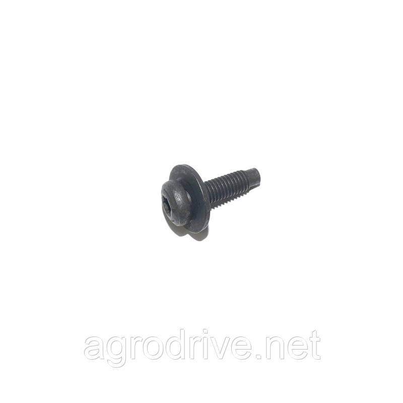 Болт М8х25 облицювання кабіни FORD F-MAX 1764744 W707916S307