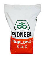 П64ЛП130 Пионер (Евро-Лайтнинг Плюс), семена подсолнечника P64LР130 Pioneer