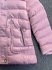 Куртки зимові на дівчаток оптом, Nature, у наявності 6 рр. арт. RSG-5527, фото 3