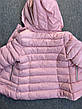 Куртки зимові на дівчаток оптом, Nature, у наявності 6 рр. арт. RSG-5527, фото 4