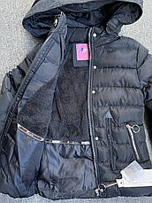 Куртки зимові на дівчаток оптом, Nature, у наявності 8 рр. арт. RSG-5527/1, фото 3