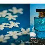 Парфуми Victoria's Secret Very Sexy Sea Eau de Parfum 50 ml, фото 3