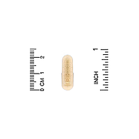 Milk Thistle Extract 175 мг Lake Avenue Nutrition 240 капсул, фото 3