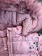 Куртка на дівчинку, Setty Koop, 4 роки арт. CD-1914, фото 3
