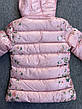 Куртка на дівчинку, Setty Koop, 4 роки арт. CD-1914, фото 4