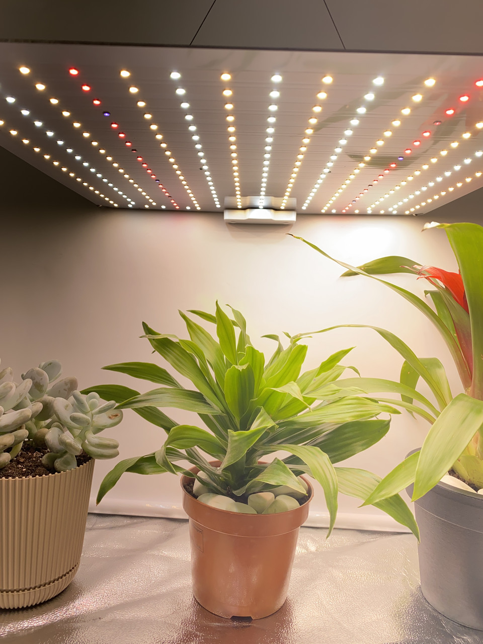 Фітолампа від Розетки 120W 300 LED (Повний спектр, Лампа для рослин, Гроубокс, Парник, Теплиця, Зелень)