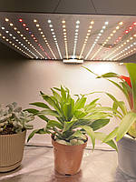 Фітолампа від Розетки 120W 300 LED (Повний спектр, Лампа для рослин, Гроубокс, Парник, Теплиця, Зелень)