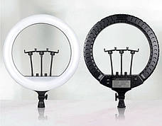Кільцева LED-лампа зі штативом RL-19 пульт діаметр кільцевої лампи 48 см, фото 2