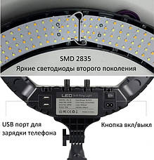 Кільцева LED-лампа зі штативом RL-19 пульт діаметр кільцевої лампи 48 см, фото 3
