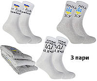 Шкарпетки чоловічі 3 пари демісезонні бавовняні трикотажні з написами