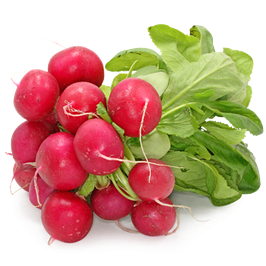 Насіння редиски і редьки. Фасовка 100г