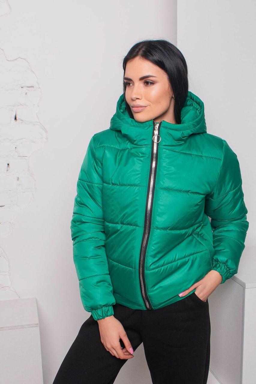 Жіноча Куртка Демісезонна з 42 по 56 Розмір к-007(ля 850), фото 1