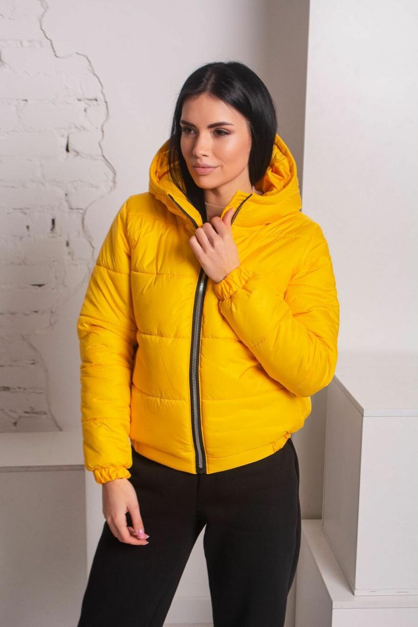 Жіноча Куртка Демісезонна з 42 по 56 розмір к-007(ля 850), фото 1