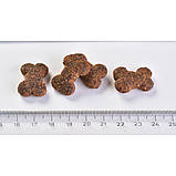 Ласощі для собак Brit Care Dog Crunchy Cracker Insects для імунітету, комахи, кролик і фенхель, 200 г, фото 5