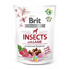 Ласощі для собак Brit Care Dog Crunchy Cracker Insects для травлення, комахи, ягня і малина, 200 г