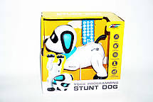 Інтерактивна іграшка Stunt Dog Собака Робопес, фото 4