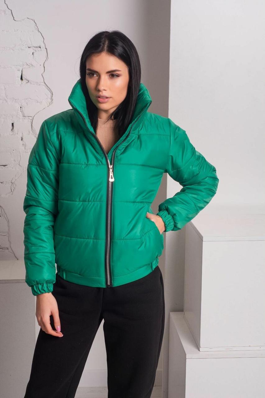 Жіноча Куртка Демісезонна З 42 По 56 Розмір к-008(ля 830), фото 1