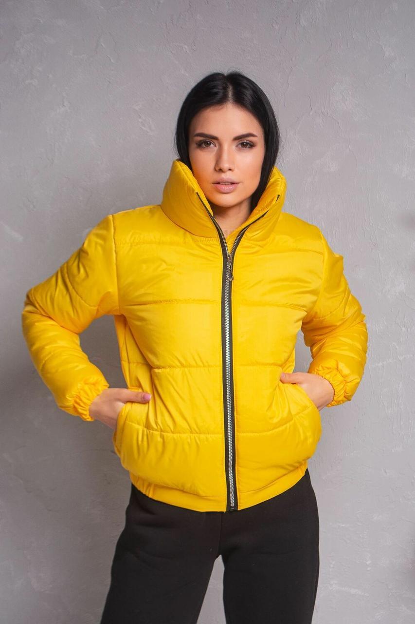 Жіноча Куртка Демісезонна з 42 по 56 Розмір к-008(ля 830), фото 1