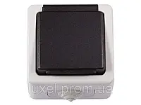 Блок розетка с заземлением и крышкой Luxel DEBUT (6511)