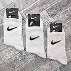 Шкарпетки чоловічі високі весна/осінь р.41-45 білі трекінгова гумка N 30034545, фото 2