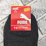 Шкарпетки чоловічі середні зимові з махрою р.41-44 спорт Р асорті 30033216, фото 9
