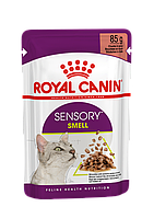 Консервы влажный корм Royal Canin Sensory Smell Chunks in gravy в соусе для котов 85 гр (1517001)