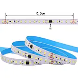 Світлодіодна стрічка хвиля, що біжить 24V SMD2835 120led\m 12W 1800Lm IP20 10мм 3000K, фото 8