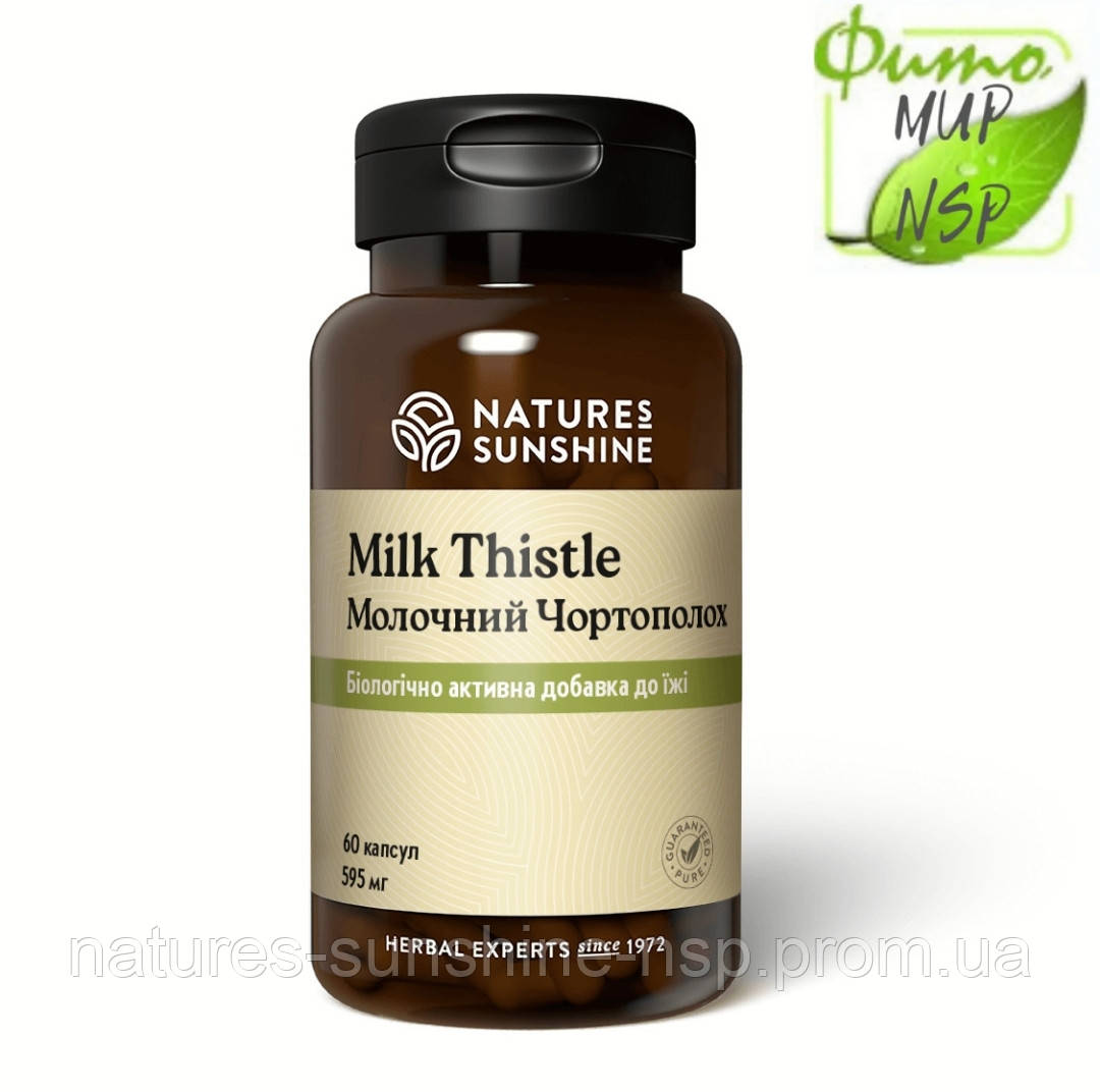 Milk Thistle Молочний чортополох