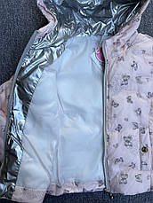 Куртки демісезонні на дівчаток в залишку, F&D, 3 роки арт. 2940, фото 2