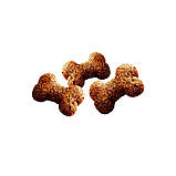 Ласощі для собак Brit Care Dog Crunchy Cracker Insects для імунітету, комахи, кролик і фенхель, 200 г, фото 3