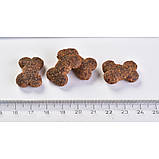 Ласощі для собак Brit Care Dog Crunchy Cracker Insects для імунітету, комахи, кролик і фенхель, 200 г, фото 4